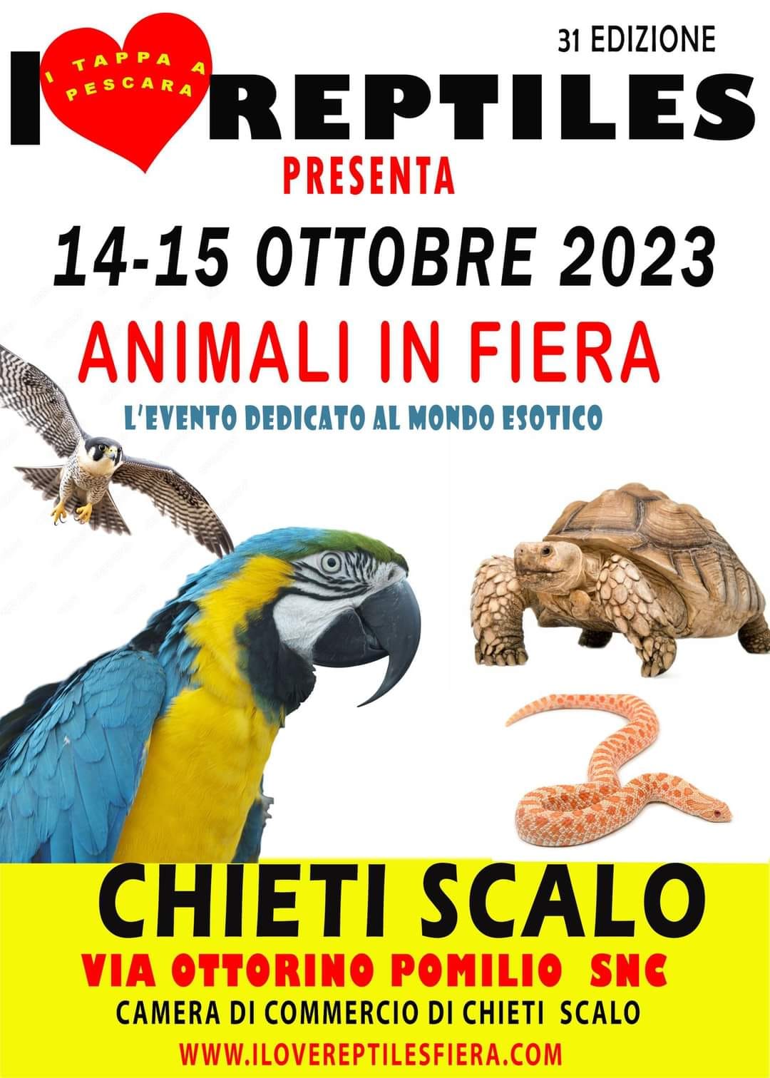 I_Love_Reptiles_Chieti